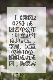 《乘风2025》成团名单公布：叶童获年度总冠军，李晟、吴宣仪等10位姐姐成功成团，陈德容获年度高光人物