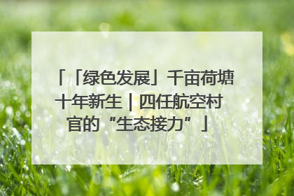 「绿色发展」千亩荷塘 十年新生｜四任航空村官的“生态接力”