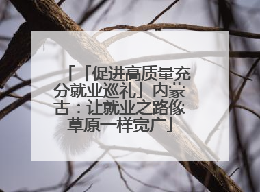 「促进高质量充分就业巡礼」内蒙古：让就业之路像草原一样宽广