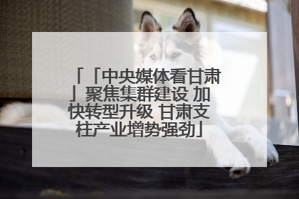 「中央媒体看甘肃」聚焦集群建设 加快转型升级 甘肃支柱产业增势强劲