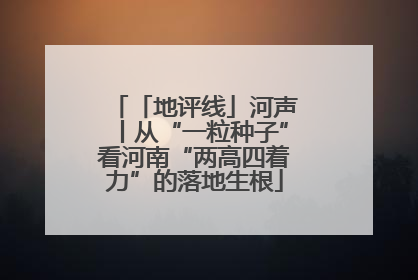 「地评线」河声丨从“一粒种子”看河南“两高四着力”的落地生根