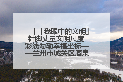 「我眼中的文明」针脚丈量文明尺度 彩线勾勒幸福坐标——兰州市城关区酒泉路街道办事处