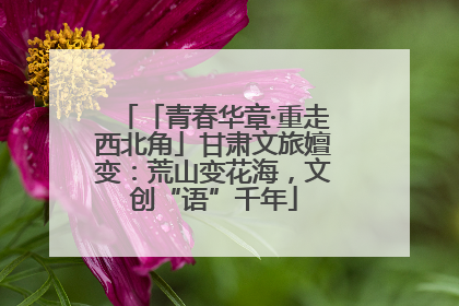 「青春华章·重走西北角」甘肃文旅嬗变：荒山变花海，文创“语”千年