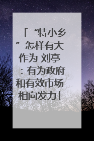 “特小乡”怎样有大作为 刘亭：有为政府和有效市场相向发力