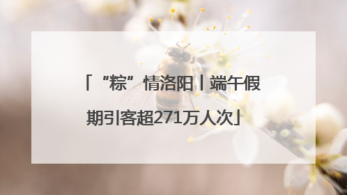 “粽”情洛阳丨端午假期引客超271万人次