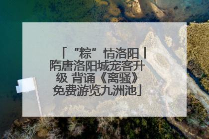 “粽”情洛阳丨隋唐洛阳城宠客升级 背诵《离骚》免费游览九洲池