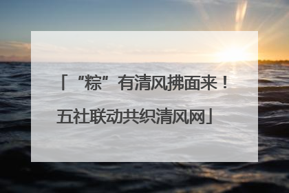 “粽”有清风拂面来！五社联动共织清风网