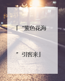 “紫色花海”引客来