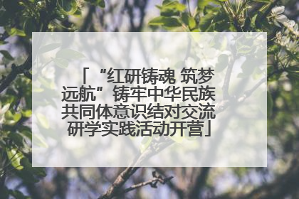 “红研铸魂 筑梦远航”铸牢中华民族共同体意识结对交流研学实践活动开营
