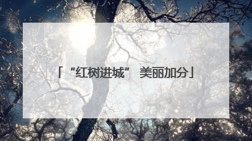 “红树进城” 美丽加分
