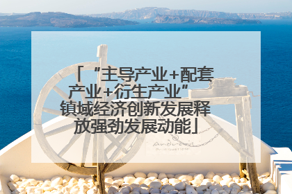 “主导产业+配套产业+衍生产业” 镇域经济创新发展释放强劲发展动能