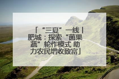 “三夏”一线丨肥城：探索“菌果蔬”轮作模式 助力农民增收致富