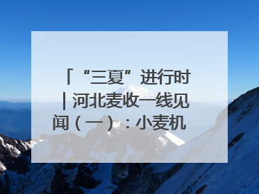 “三夏”进行时｜河北麦收一线见闻（一）：小麦机收减损“竞技” 农机高手麦田“过招”