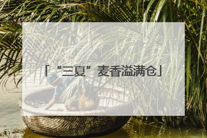 “三夏”麦香溢满仓
