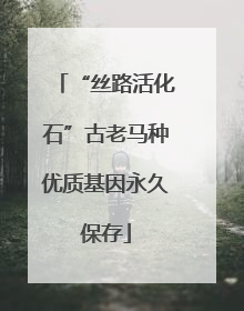 “丝路活化石”古老马种优质基因永久保存