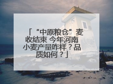 “中原粮仓”麦收结束 今年河南小麦产量咋样？品质如何？