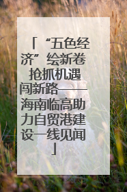 “五色经济”绘新卷 抢抓机遇闯新路——海南临高助力自贸港建设一线见闻