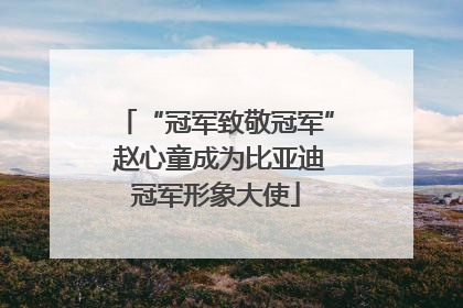 “冠军致敬冠军” 赵心童成为比亚迪冠军形象大使