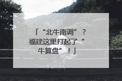 “北牛南调”？福建这里打起了“牛算盘”！