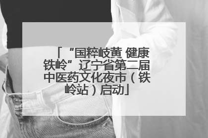 “国粹岐黄 健康铁岭”辽宁省第二届中医药文化夜市（铁岭站）启动