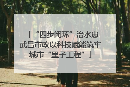 “四步闭环”治水患 武昌市政以科技赋能筑牢城市“里子工程”