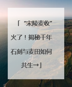 “宋陵麦收”火了！揭秘千年石刻与麦田如何共生→