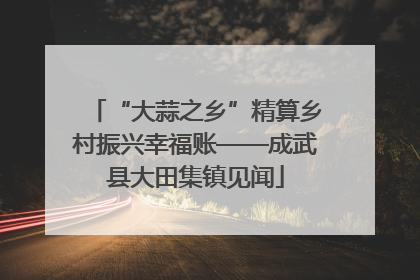 “大蒜之乡”精算乡村振兴幸福账——成武县大田集镇见闻