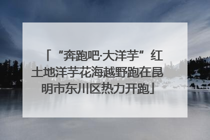 “奔跑吧·大洋芋”红土地洋芋花海越野跑在昆明市东川区热力开跑