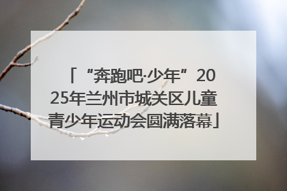 “奔跑吧·少年”2025年兰州市城关区儿童青少年运动会圆满落幕