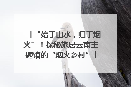 “始于山水，归于烟火”！探秘旅居云南主题馆的“烟火乡村”