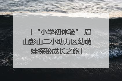“小学初体验” 眉山彭山二小助力区幼萌娃探秘成长之旅