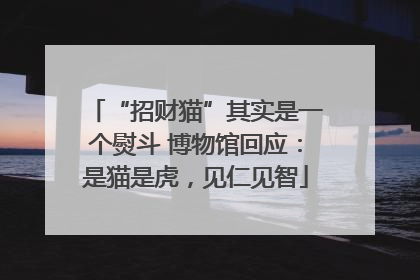 “招财猫”其实是一个熨斗 博物馆回应：是猫是虎，见仁见智
