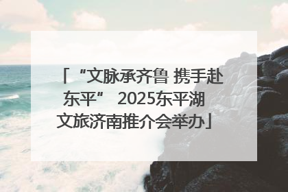 “文脉承齐鲁 携手赴东平” 2025东平湖文旅济南推介会举办