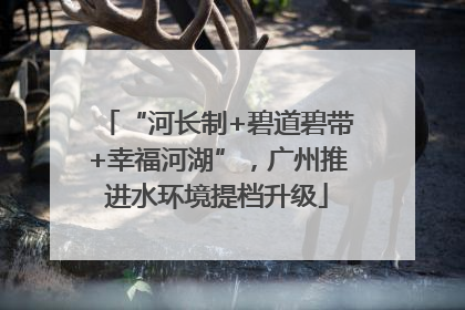 “河长制+碧道碧带+幸福河湖”，广州推进水环境提档升级