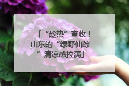 “趁热”查收！山东的“绿野仙踪”清凉感拉满