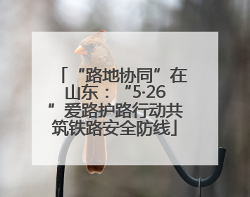 “路地协同”在山东：“5·26”爱路护路行动共筑铁路安全防线