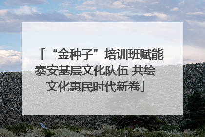 “金种子”培训班赋能泰安基层文化队伍 共绘文化惠民时代新卷
