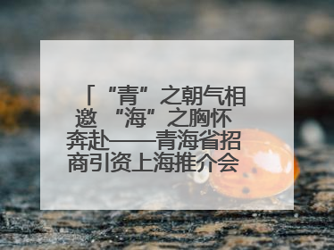 “青”之朝气相邀 “海”之胸怀奔赴——青海省招商引资上海推介会现场见闻