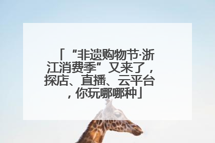 “非遗购物节·浙江消费季”又来了，探店、直播、云平台，你玩哪哪种