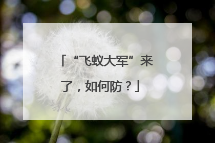 “飞蚁大军”来了，如何防？
