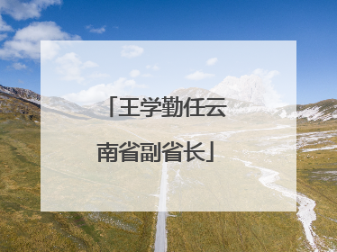 王学勤任云南省副省长