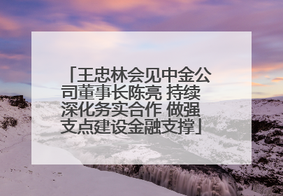 王忠林会见中金公司董事长陈亮 持续深化务实合作 做强支点建设金融支撑