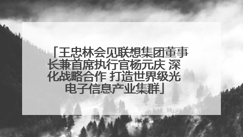王忠林会见联想集团董事长兼首席执行官杨元庆 深化战略合作 打造世界级光电子信息产业集群