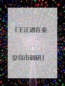 王正谱在秦皇岛市调研