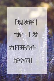现场评｜“链”上发力打开合作新空间