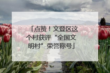 点赞！文登区这个村获评“全国文明村”荣誉称号