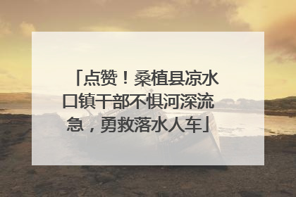 点赞！桑植县凉水口镇干部不惧河深流急，勇救落水人车