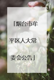 烟台市牟平区人大常委会公告