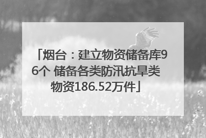 烟台：建立物资储备库96个 储备各类防汛抗旱类物资186.52万件