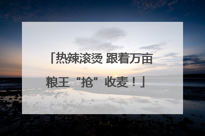 热辣滚烫 跟着万亩粮王“抢”收麦！